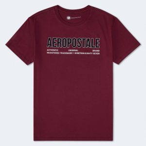 Aeropostale Authentic Logo Flocked Graphic Tee - Bloomsberry