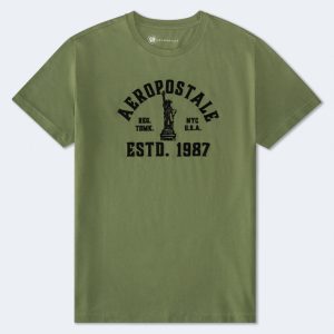 Aeropostale Liberty Flocked Graphic Tee - Eucalyptus