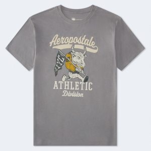 Aeropostale NYC Bull Graphic Tee - Charcoal Marble Heather