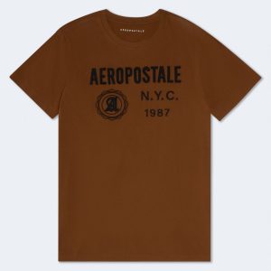 Aeropostale NYC 1987 Appliqué Graphic Tee - Medium Brown