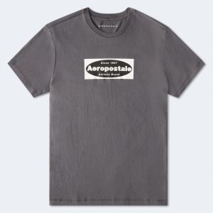 Aeropostale Box Logo Appliqué Graphic Tee - Magnet