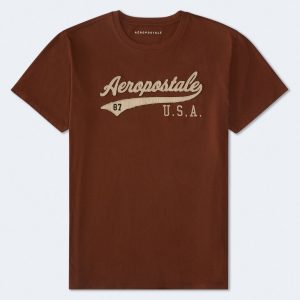 Aeropostale USA Script Appliqué Graphic Tee - Camo Brown