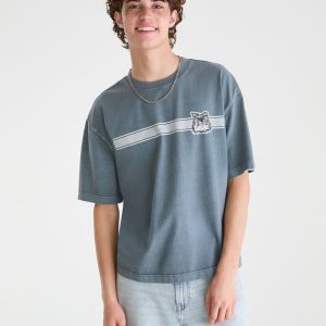 Bulldog Stripe Washed Graphic Tee - Thunder
