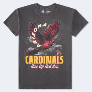 Arizona Cardinals Mascot Relaxed Graphic Tee - Washed Black