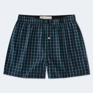 Small Plaid 4" Woven Boxers - Aspen Aura