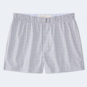 Gingham 4" Woven Boxers - Seahawk