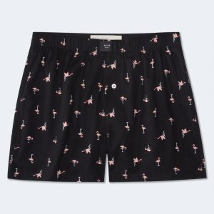 Flamingo 4" Woven Boxers - Black Fox