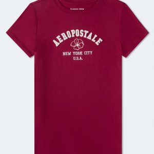 Aeropostale Floral Arch Appliqué Graphic Tee - Plum