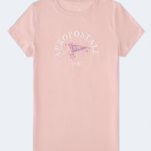 Aeropostale NYC Flag Graphic Tee - Island Guava